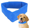 Collare refrigerante per cani