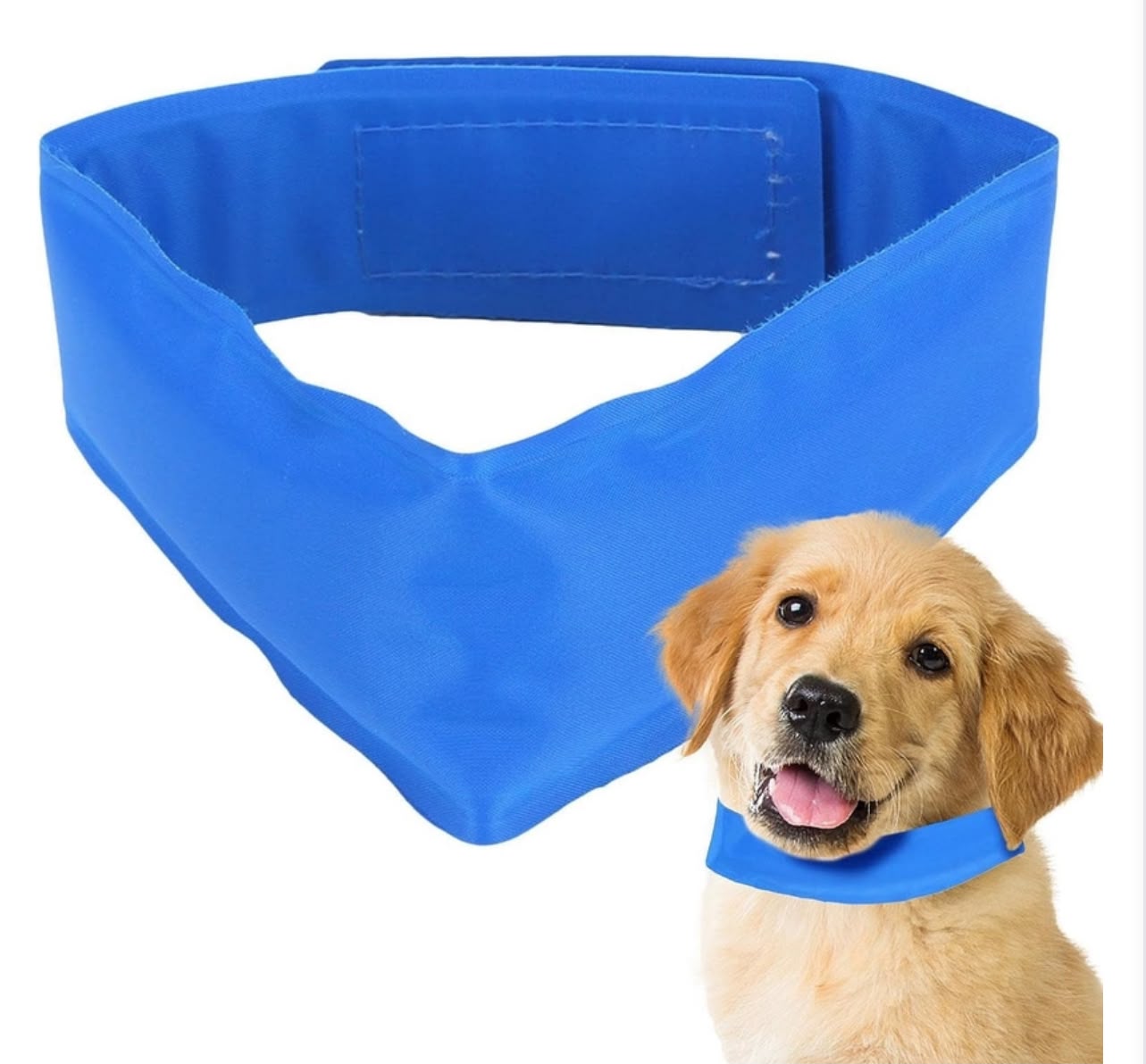 Collare refrigerante per cani